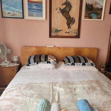 Apartment Madona Шибеник Екстер'єр фото
